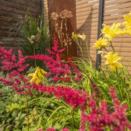 Nahaufnahme von roten und gelben Staudenblüten in einem modern gestalteten Blumenbeet.