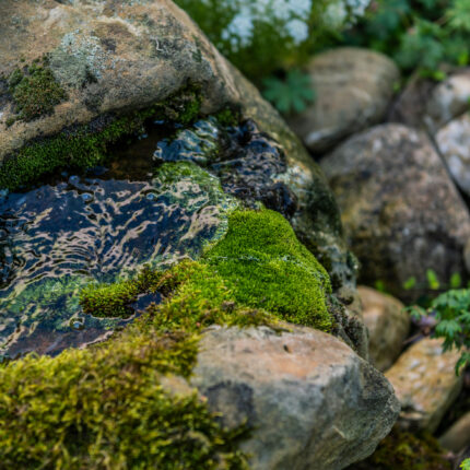 Wasserspiel mit Steinen und Moos, das natürliche Elemente in den Garten integriert und eine beruhigende Atmosphäre schafft.