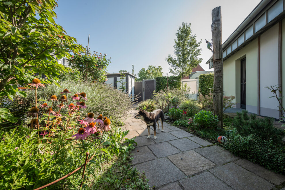 Gartenweg mit vielfältiger Bepflanzung, die einen naturnahen, aber gepflegten Gartenraum darstellt.