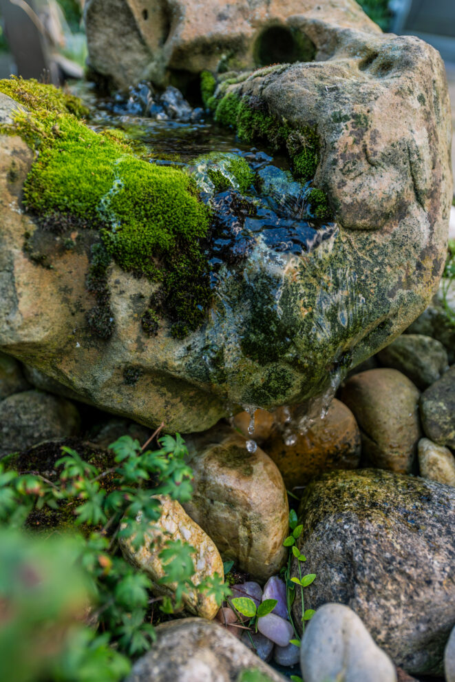 Detaillierte Ansicht des Wasserspiels, das über Steine fließt und von üppiger Pflanzenwelt umgeben ist, was eine beruhigende Gartenatmosphäre schafft.